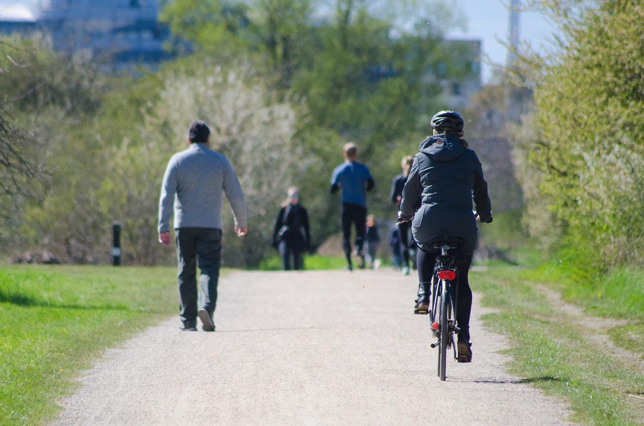 Rower jako środek transportu na uczelnię – jakie są wyzwania dla studentów?